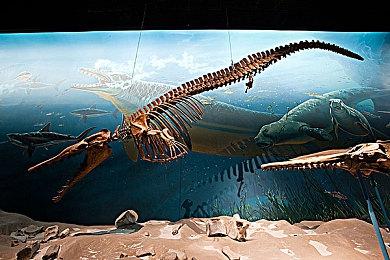 英国对微软收购动视暴雪交易展开反垄断调查